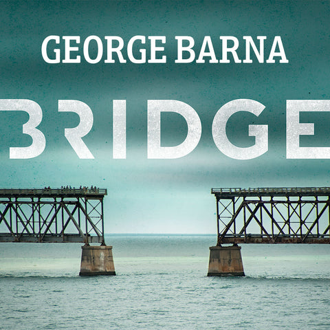 Why Is This Critical? | George Barna | Bridge 2015